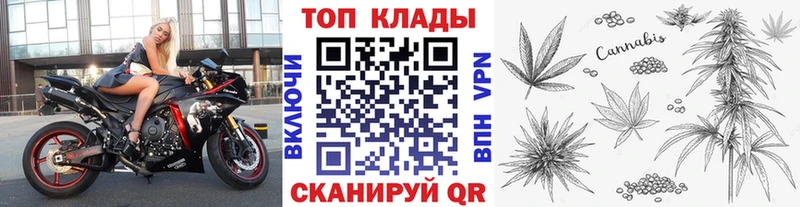 Купить наркотик Лодейное Поле COCAIN  mega ссылка  Канабис  Героин  Кетамин 