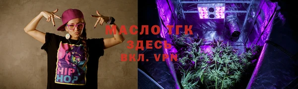 индика Данков