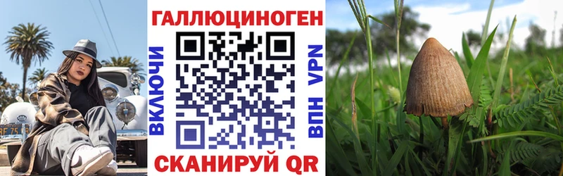 Псилоцибиновые грибы GOLDEN TEACHER сколько стоит Лодейное Поле